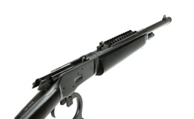 Laden Sie das Bild in den Galerie-Viewer, Chiappa 1892 Wildlands .357 Mag 5/8"x24 TakeDown