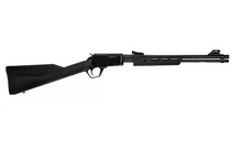 Laden Sie das Bild in den Galerie-Viewer, Rossi Gallery .22 lr Pump Action
